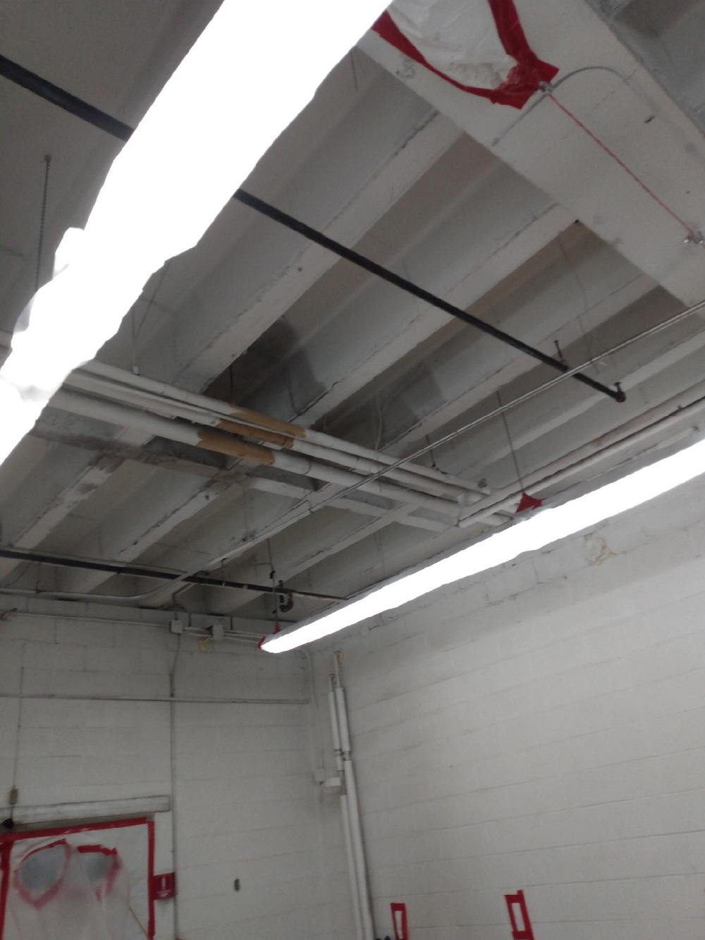 Black mold abatement in progress