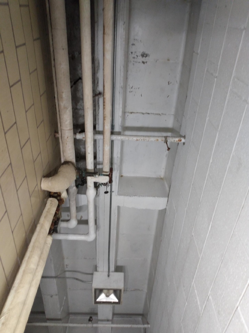 Ceiling beams after black mold removal